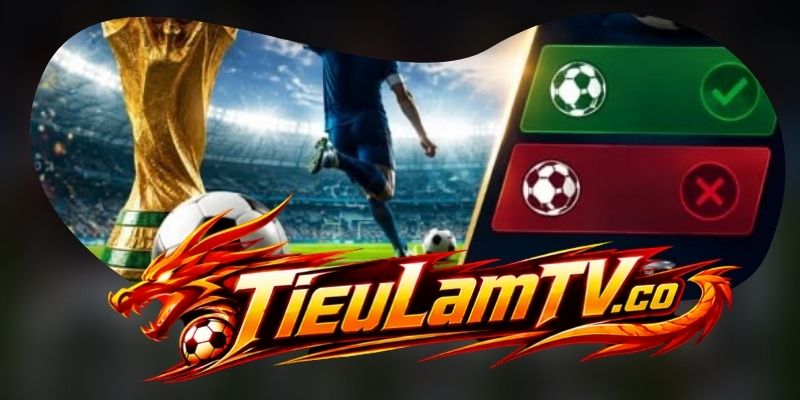 Champions League, World Cup và các sự kiện lớn